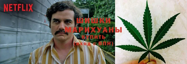 стафф Абаза