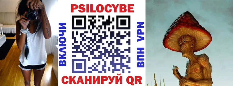 где найти   Хадыженск  Галлюциногенные грибы прущие грибы 